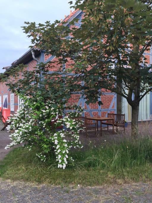 Entspannung In Der Schoenen Lueneburger Heide Gohrde Luaran gambar