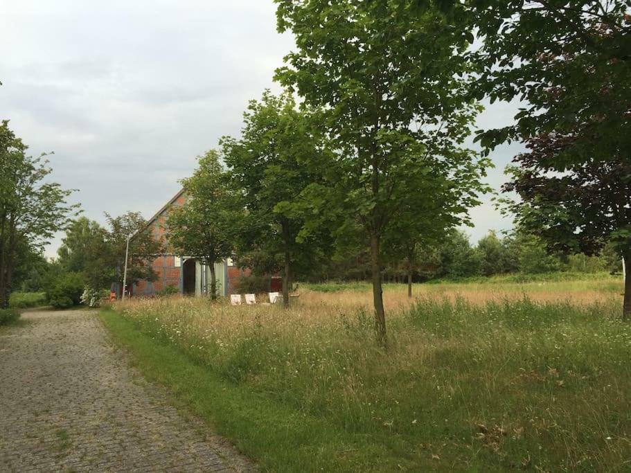 Entspannung In Der Schoenen Lueneburger Heide Gohrde Luaran gambar